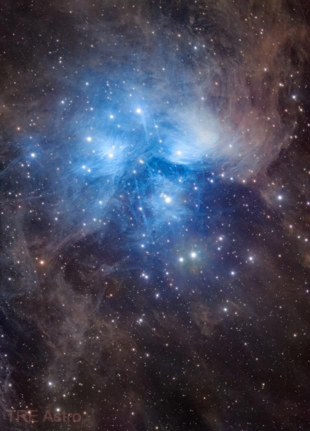 maiz_julio's tweet photo. M45 Pleiades star cluster in Taurus constellation by Eartherzu (Astrobin ) https://t.co/mMytSRnR33 https://t.co/Bs71SSfioM