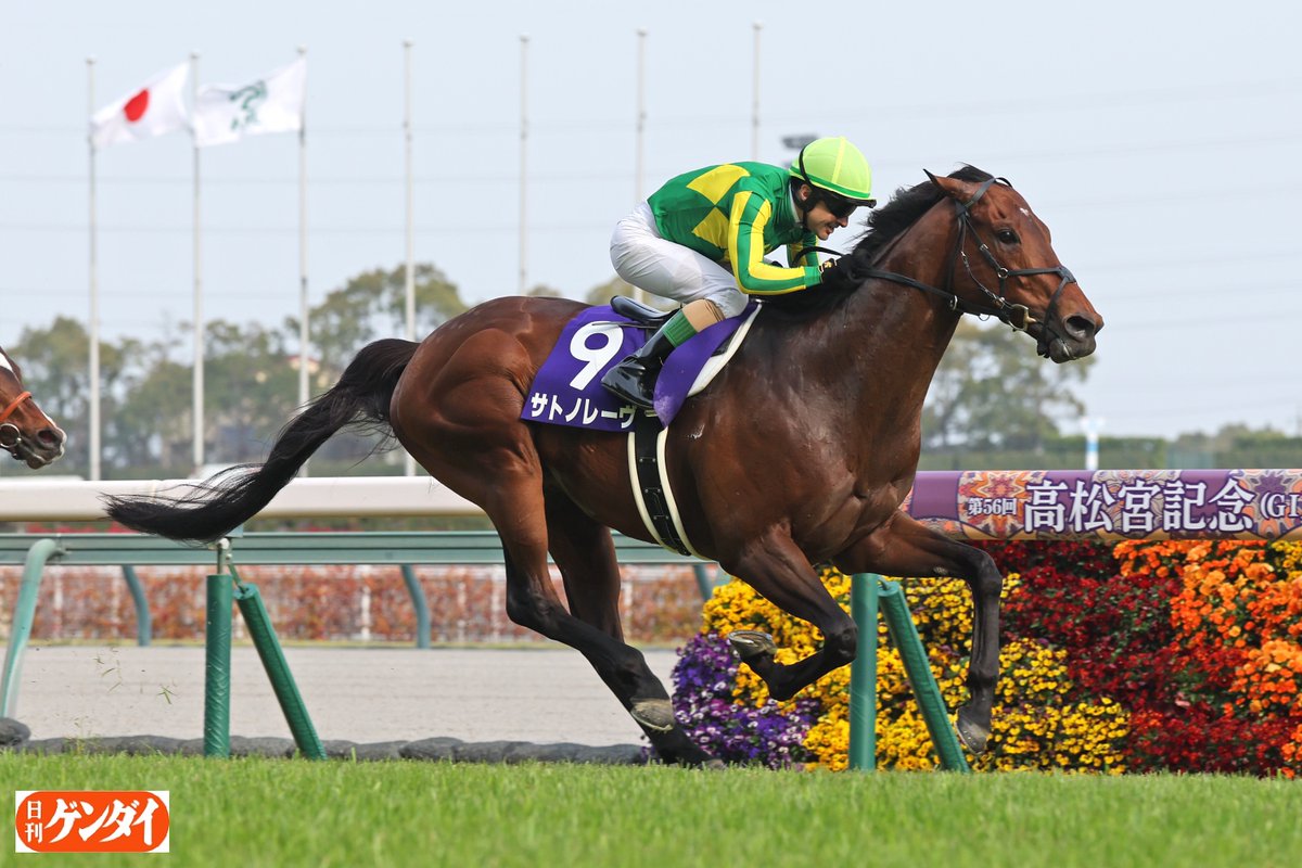 gendai_keiba's tweet photo. 【高松宮記念連覇サトノレーヴ、引退】
９月１７日付で競走馬登録を抹消したとＪＲＡが発表した。
ロードカナロア産駒でＪＲＡ通算は１３戦９勝。
２５、２６年の高松宮記念連覇を含め、重賞４勝を挙げた。北海道勇払郡安平町の社台スタリオンステーションにて種牡馬となる予定。
https://t.co/rDPxDLkzzS 
#サトノレーヴ
