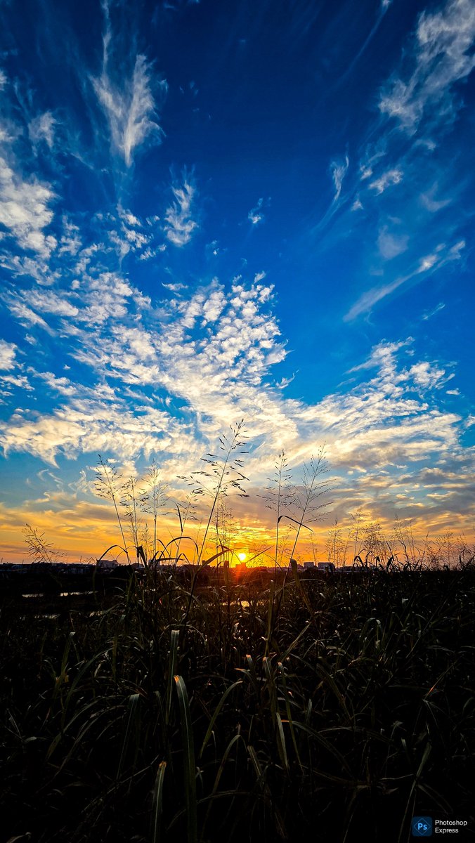 MadHatter3104's tweet photo. 左膝を軽く痛めてしまった夕方…中年の目に沁みる。😭 https://t.co/7jYKBlSd7c