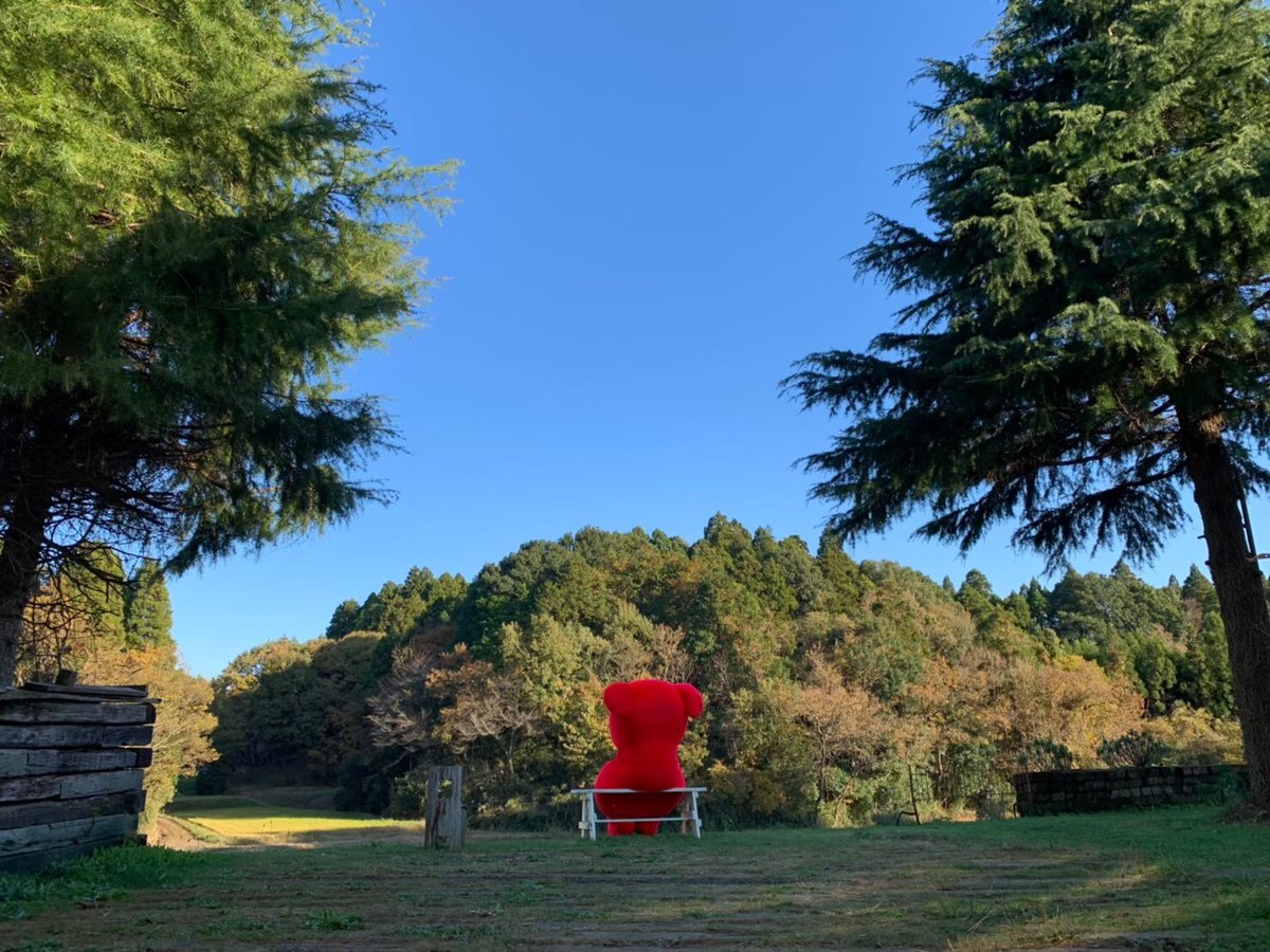 chi_bakun_chiba's tweet photo. おはちばー！
みんな励ましコメントありがとう（うるる）
うれし泣きの顔は見せないよ。 https://t.co/n3dqXHHxhN