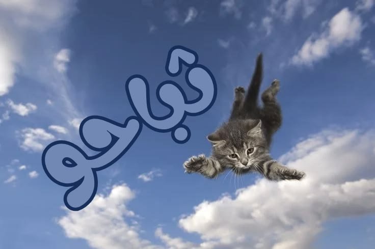 3osaifer's tweet photo. ثباح الاندومي والاكل الي مش هيفيدك بس هيديك لذة مؤقتة وبعدها تحس بالذنب وتقول مش كنت زمان بتروح الجيم ومظبط اكلك
ايه العبط الي بتعمله ده يبني
وتقوم تحبس بكوباية شاي سخنة مولعة ناااررررر https://t.co/rigE4sXBQJ