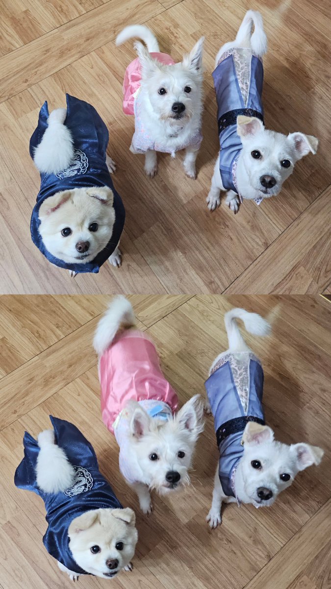 SSALBAB_RICEMI's tweet photo. 즐추되세요 https://t.co/iq43jiDX1g