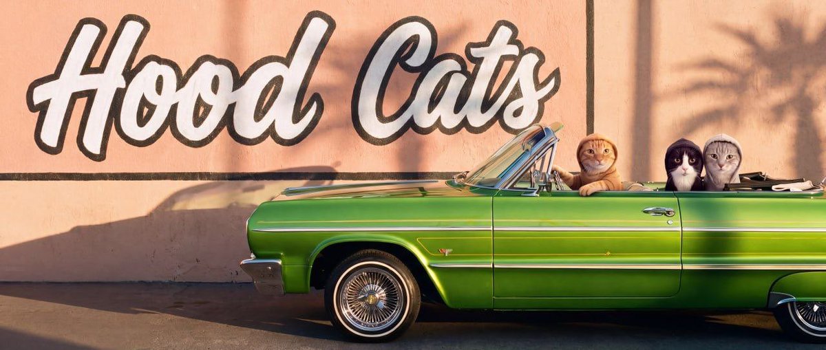 pizzabasedev1x's tweet photo. Hood Cats are now on Robinhood chain and they are not messing around. They live and breath the hood lifestyle.π
X - https://t.co/I0QNx0GI5b
WEB - https://t.co/dDreGuqfWg
#RobinhoodChain #HoodCat #Memecoin #Crypto #ETH #DeFi #RobinhoodAp https://t.co/anK7sNdYKj