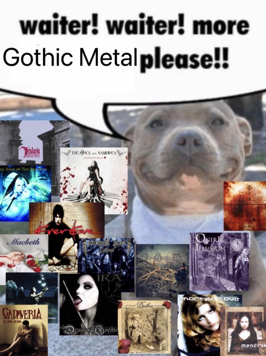 uselessismywar's tweet photo. Literally me https://t.co/16UYpTQH0k
