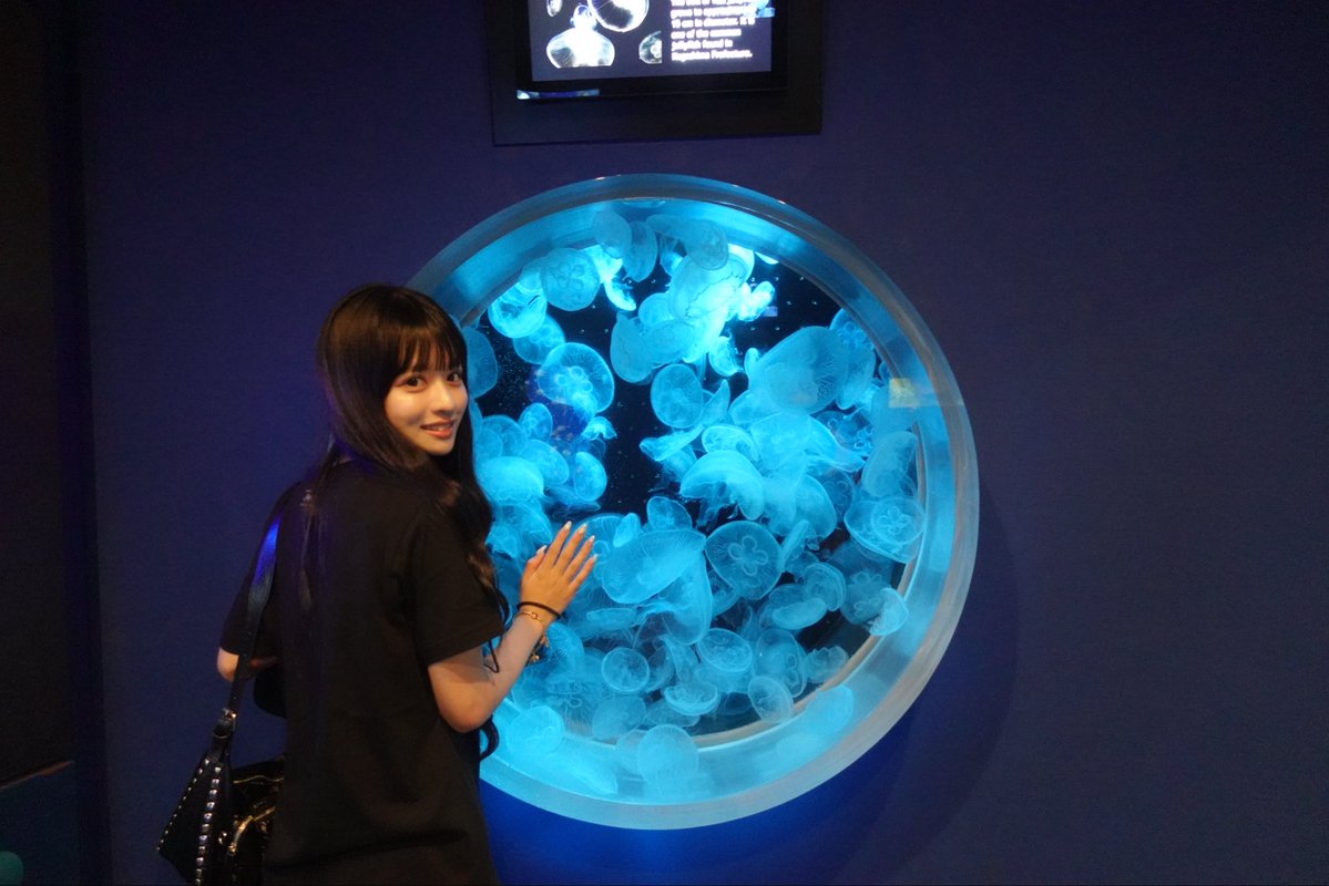 hina_pxrb's tweet photo. ⋆.ೃ࿔*:･ https://t.co/O67tpJeURD