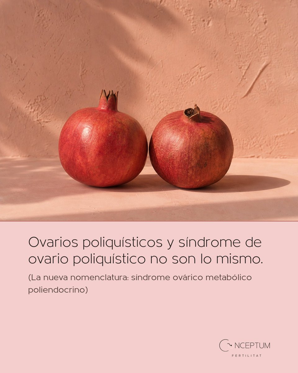 IConceptum's tweet photo. Ovarios poliquísticos y síndrome de ovario poliquístico (la nueva nomenclatura: síndrome ovárico metabólico poliendocrino) no son lo mismo: observar muchos folículos en la ecografía no basta, hacen falt…

Pide tu primera visita en https://t.co/Z9jAwMkVen #Conceptum #Fertilidad https://t.co/RpKKhquwl2