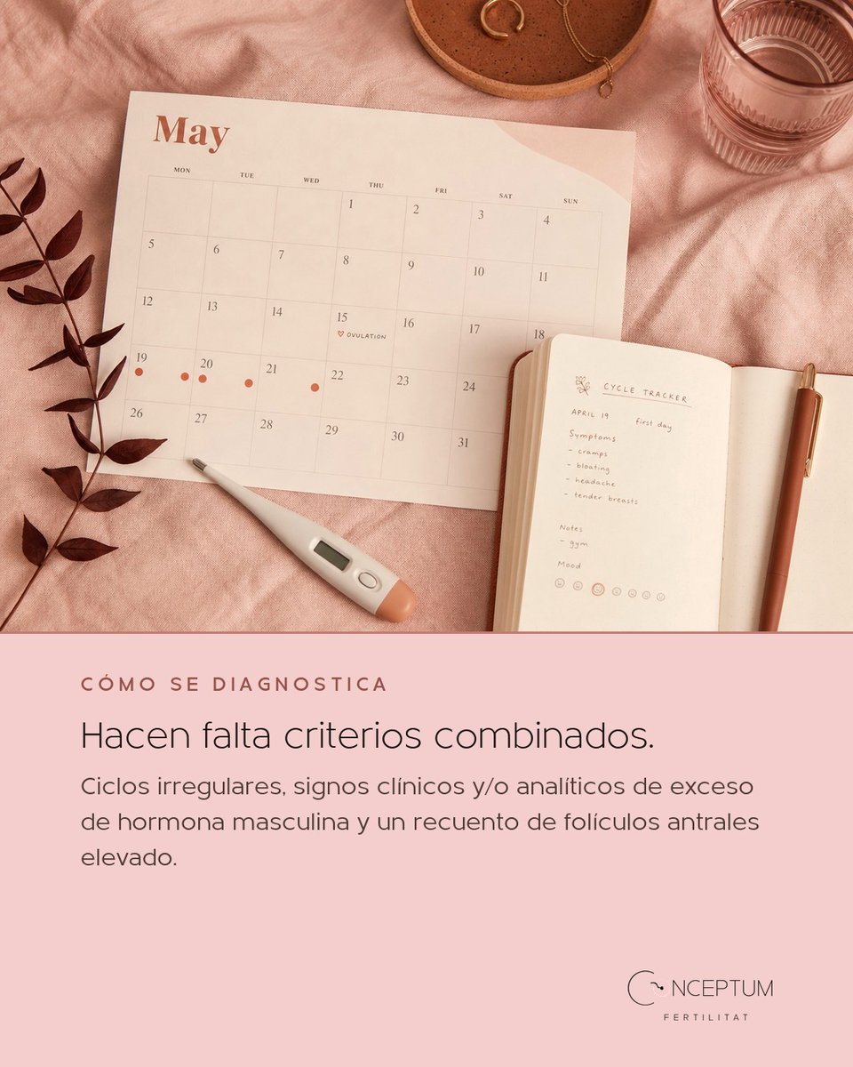 IConceptum's tweet photo. Ovarios poliquísticos y síndrome de ovario poliquístico (la nueva nomenclatura: síndrome ovárico metabólico poliendocrino) no son lo mismo: observar muchos folículos en la ecografía no basta, hacen falt…

Pide tu primera visita en https://t.co/Z9jAwMkVen #Conceptum #Fertilidad https://t.co/RpKKhquwl2