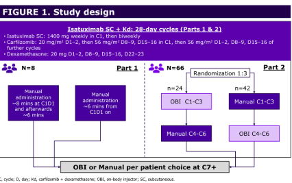 Multiple Myeloma Hub (@MM_Hub) — #IMS26 — IZALCO data slide