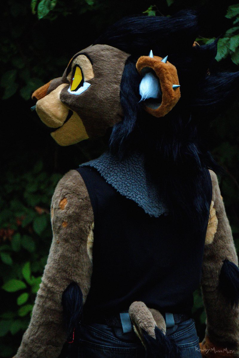 RowdyMushMutt's tweet photo. It’s time for a #fursuit post again ⚡️
I finally made armsleeves for Rook! Tried some things and got the athletic look I wanted 💪🏻
I add some other small upgrades since last time too, not very visible in the photos but I shared it all to Patreon⭐️

#lionfursuit
#fursuitpartial https://t.co/OX1XDjAEbL