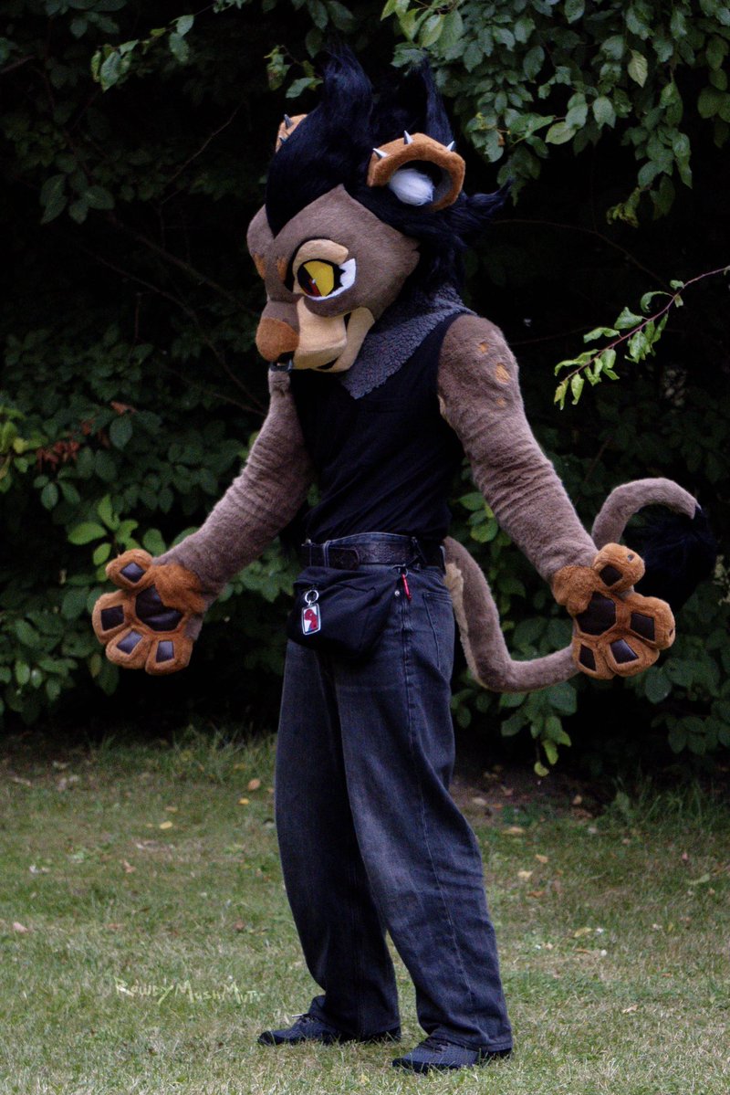 RowdyMushMutt's tweet photo. It’s time for a #fursuit post again ⚡️
I finally made armsleeves for Rook! Tried some things and got the athletic look I wanted 💪🏻
I add some other small upgrades since last time too, not very visible in the photos but I shared it all to Patreon⭐️

#lionfursuit
#fursuitpartial https://t.co/OX1XDjAEbL