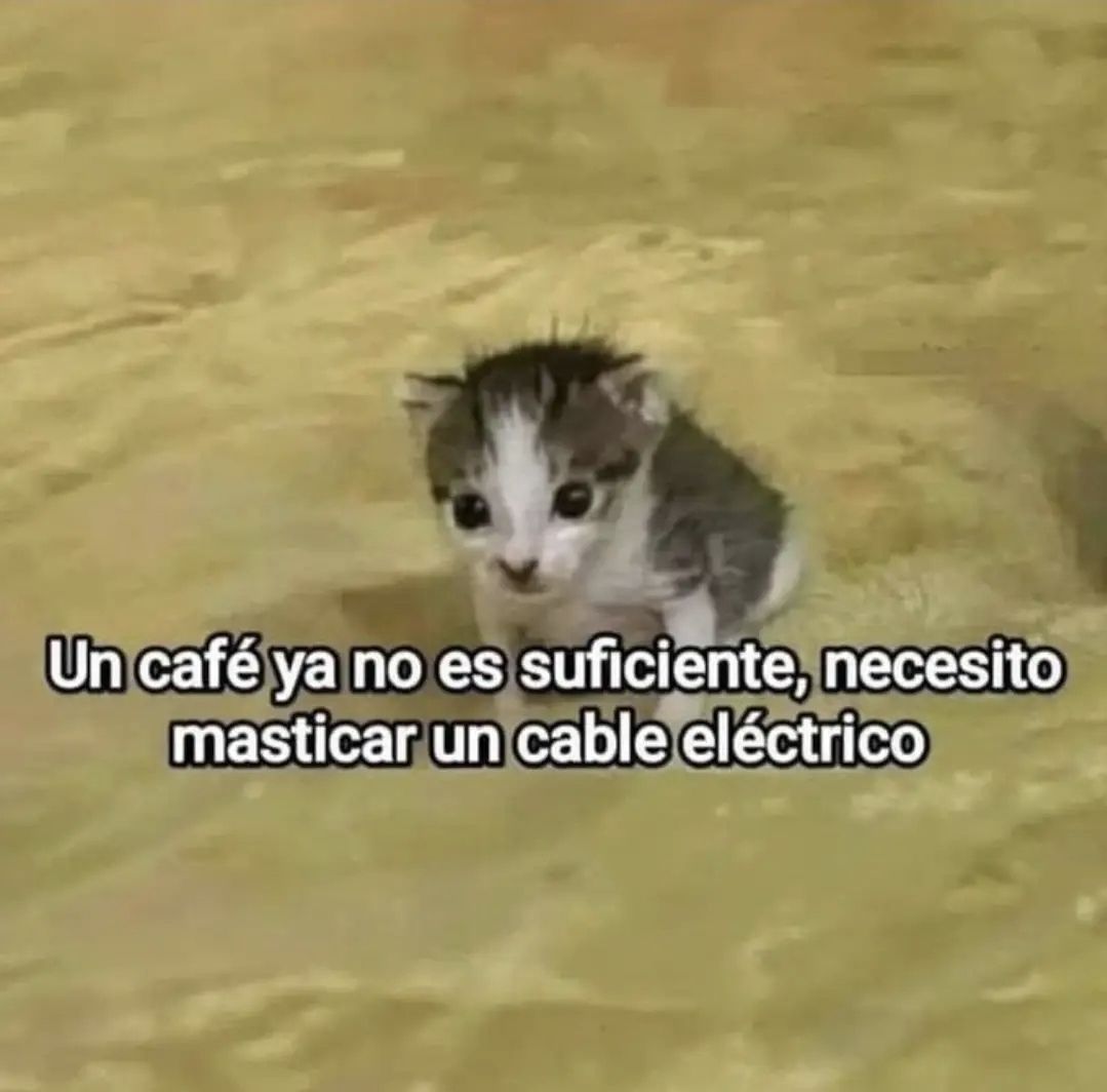 wikipistacho's tweet photo. https://t.co/AYEHRY2Qtn