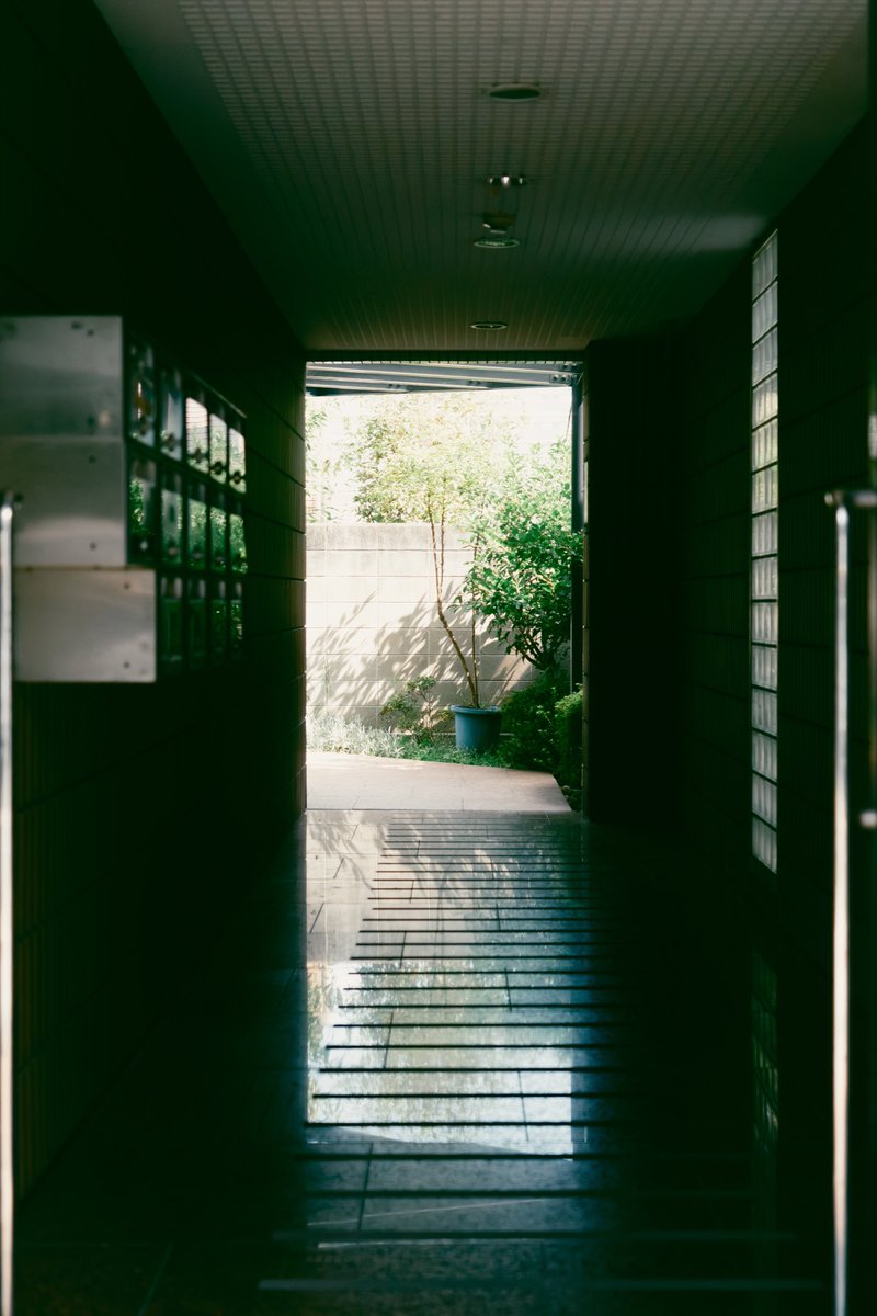 sho__pic's tweet photo. Light. https://t.co/JLqx0iMTDB