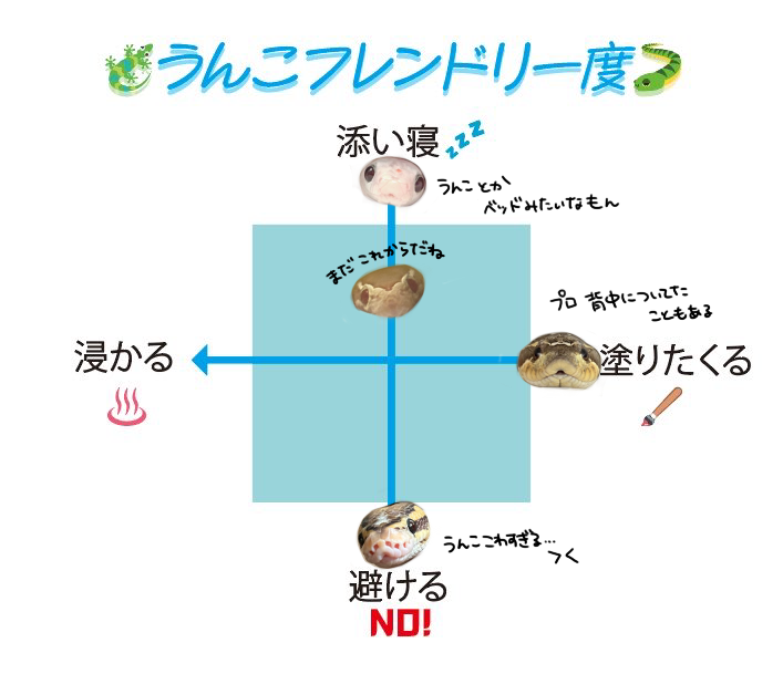 hebinotyuke's tweet photo. 大事な事言い忘れた
💩塗りたくって喜んだり顔に塗ったり💩枕にして寝たりするクレイジーな性格な子いっぱいいます https://t.co/kZ8ZW7bCtn