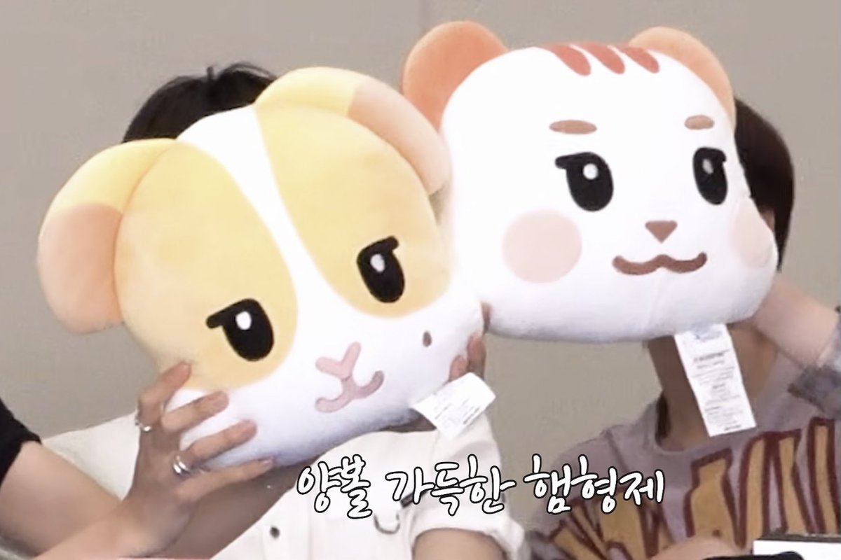 chunloversclub's tweet photo. 하 햄형제만 볼살 한바가지인거 미치겠네 https://t.co/6ef8UOxDnj