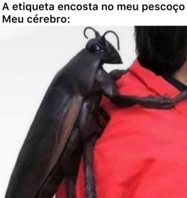 TerrorCotidiano's tweet photo. https://t.co/JjkpS1P2ST