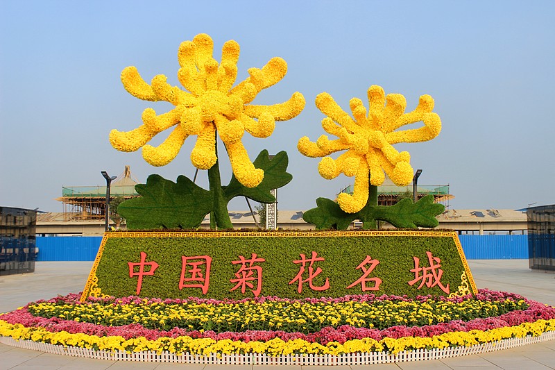 kmz4v's tweet photo. Just visited a stunning Chinese chrysanthemum exhibition—my favorite part was the bold, convex sculptures that Deng is showing off! https://t.co/twBX85LyqF