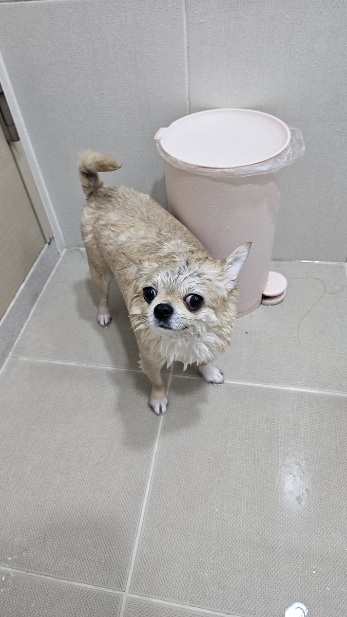 M1zuk4g4m1's tweet photo. 비포애프터 https://t.co/UgEYZmGzwv