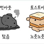 Photo by 🍊신유자🍊유령풀림👻 (@SINYuja)