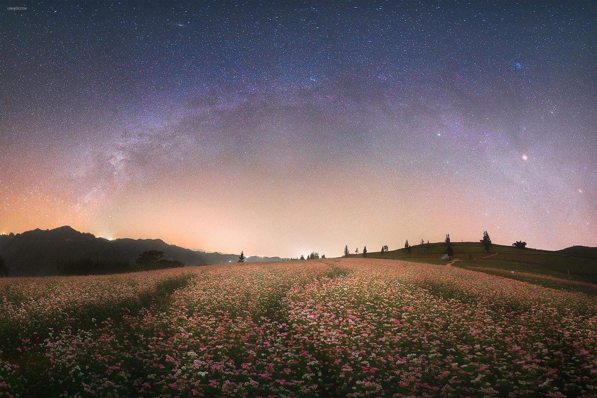 maiphuonghoa20's tweet photo. 星がいっぱい🤩 https://t.co/6rPTSrYcm1