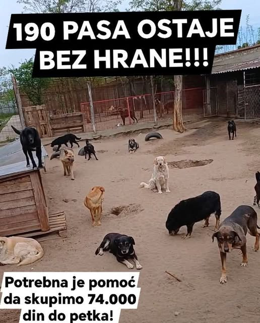 IcaJeje tweet picture