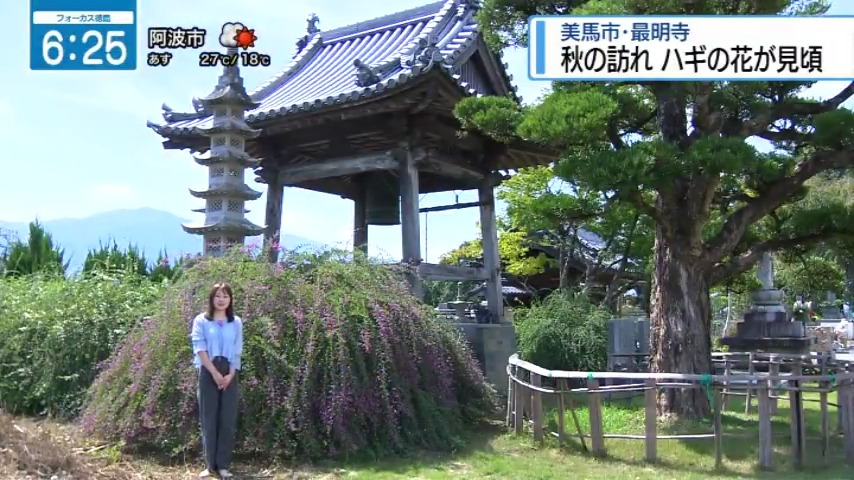 seina_jrt's tweet photo. 美馬市脇町の最明寺でハギの花が見頃を迎えています！
今年は例年と比べて出来が良いとお話をお伺いしました。
あと1週間ほどは楽しめるそうです

#四国放送　#美馬市　#最明寺　#萩の花 https://t.co/HJNrAi2JXI