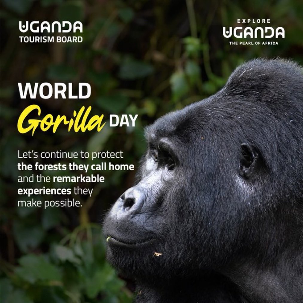 wabssafaris's tweet photo. Explore Uganda the Pearl of Africa https://t.co/Cq8jEs2eIS