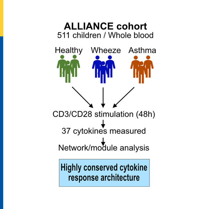 pai_eaaci's tweet photo. Looking beyond individual biomarkers π¬
While no single #cytokine clearly distinguished #asthma, preschool #wheeze, and healthy children, network-based analyses revealed coordinated #ImmunePatterns that may help refine #DiseasePhenotyping.
π https://t.co/8mHv7gRNjX
#PAI_Journal #SystemsImmunology #CD3/CD28 #blood #cytokineresponses #cytokinemodules #multiplex