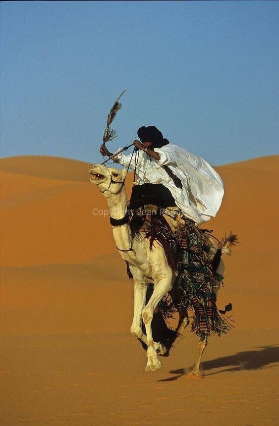 Abd_hmz99's tweet photo. السرعة وأنواعها عند #العرب: 

الحقحقة : سرعة السير
الهفيف : سرعة الطيران
الحذم : سرعة القطع
الخطف : سرعة الأخذ
القعص : سرعة القتل
السح : سرعة المطر
المشق : سرعة الكتابة 
الإمعان : الإسراع في السير والأمر
العيث : الإسراع في الفساد https://t.co/JKfQvA2M8e