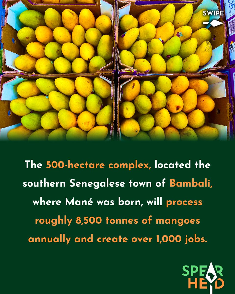Spearhead_Af's tweet photo. Senegalese Footballer Sadio Mané Invests $20.3 Million In His Country’s Food Sector

Senegalese professional footballer Sadio Mané is investing $20.3 million of his own money to build a 500-hectare mango-processing facility in his birth town of Bambali.

For the people of Bambali, this investment by one of their own signifies economic growth and better standards of living.

But leave it entirely to Western media to derogatorily frame this historic investment as a “bet on mangoes”.