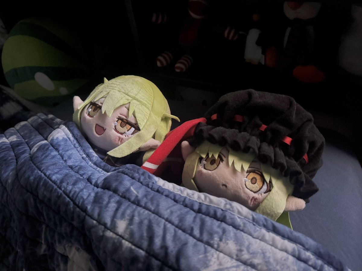 kasasagia's tweet photo. 今日も二人を無事に寝かしつけました。おやすみなさい。

#ブルアカぬいぬい部 https://t.co/tVY2CGOr6o