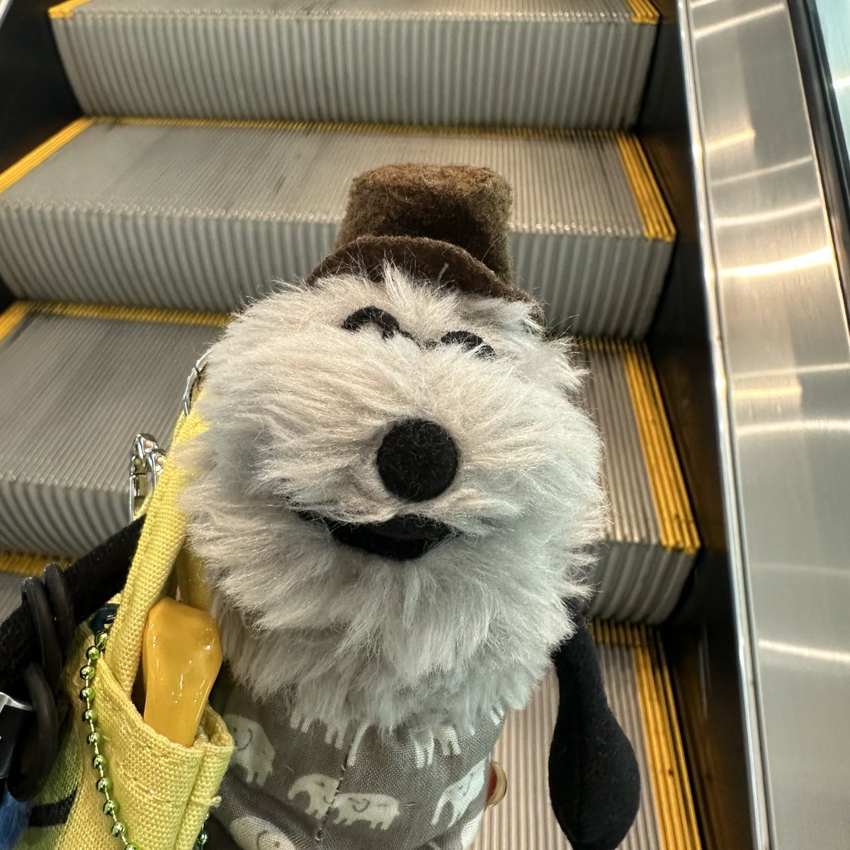 same32_hamisun's tweet photo. おじぃとガチャガチャ。
おじぃの希望でスカジャンを。
肌寒くなってきたしいいよねと思ったが、おててが大きくて入らなかった😂 https://t.co/Dz9I3TAVgD