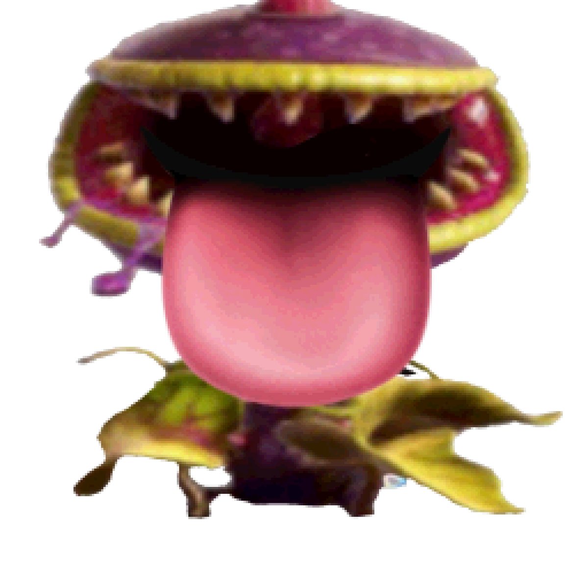 ChomperMegaFan's tweet photo. https://t.co/T6BIkKZHgk
