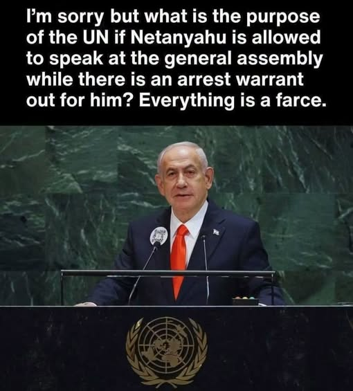 LilyFayed's tweet photo. #TheUN https://t.co/sg0l8MMbN7