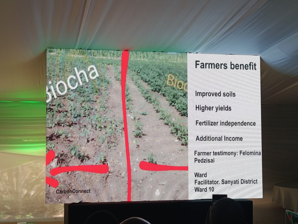 zfu_official's tweet photo. "Biochar is changing the game for smallholder farmers: improved soils, higher yields, fertilizer independence, and extra income from carbon credits. Ward 10 farmer Felomina Pedzisai of Sanyati District is seeing the results firsthand." Mr T. Nyamande of Carbon connect https://t.co/C3y5EztqfU