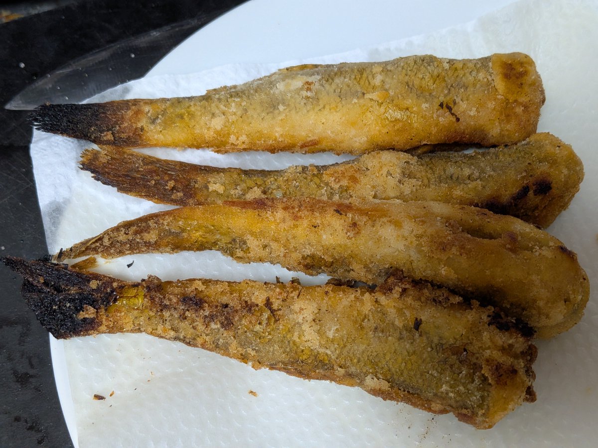 nfcona's tweet photo. 釣ったハゼ揚げて、「油せっかく温まってるしな……」とポテトも揚げたけど、これフィッシュアンドチップスでは？？？ https://t.co/8F6aSOrfjl