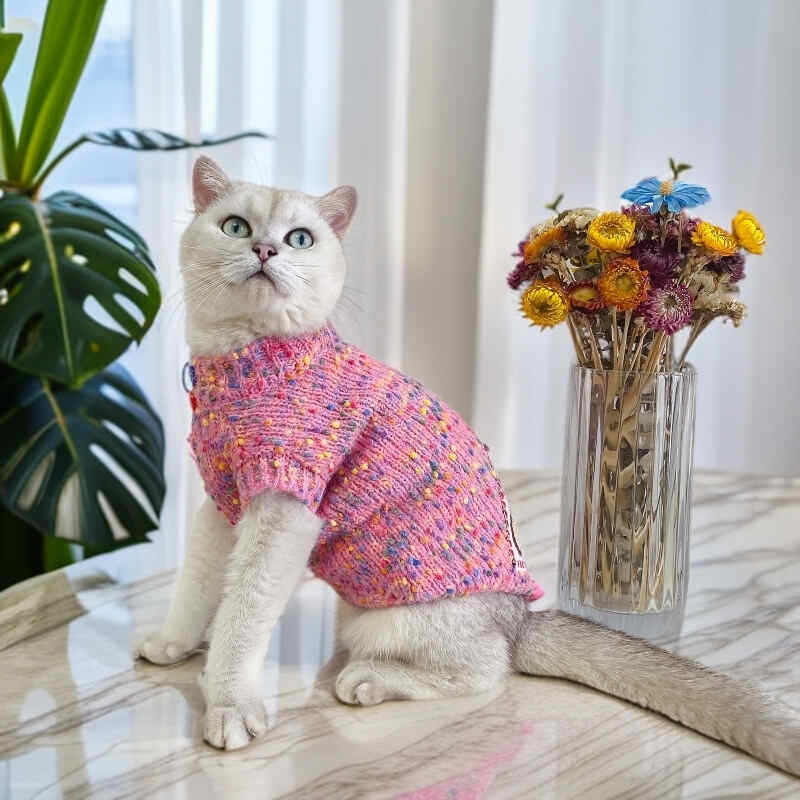 Heapet_official's tweet photo. If being adorable was an outfit, it would be this pink @heapet sweater 😻🩷
Click the link + Subscribe to get 10% OFF your order:
https://t.co/pKEd9xRuID
#catsweater #heapet #softera #sweaterweather #pinkaesthetic #catmom #cutecat #catsofx #prettykitty https://t.co/9CukvObsBL
