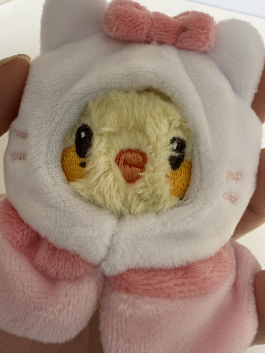_rohwa_tiny's tweet photo. 하찮아서 귀엽다… 한입거리 와앙 (^○^) 내 떵별이를 11월까지 기다려야 한다는게 안 믿긴다 https://t.co/EQVFkdE1eE
