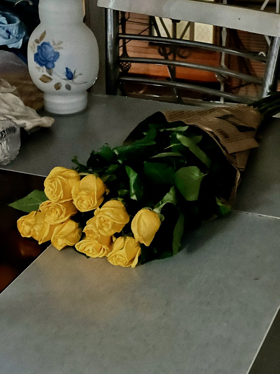 Eliihamm's tweet photo. شهریور ماه عجیب و شروع عالیی بود
۶ ماهگیمون درگیر کارای مغازش شدیم و شبیه خانوما میرفت سرکار منم براش نهار درست میکردم :)) اون وسطا تارگت فروش دکترپی‌ام زدیمو و همزمان مشتریای میکاپمم میگرفتم :)))
خودم هنوز موندم چطوری از پس این همه کار براومدم نیمه نهان باسن تنگم واقعا شکوفا شد https://t.co/XLWgdaUb7k