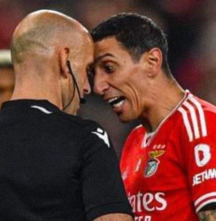 Chorabebe91's tweet photo. @MisticaUnum Não conseguem ganhar dentro de campo querem condicionar fora. 
Querem fazer a versão 2.0 do caso do túnel. 

Nunca acabem Rabolhos. https://t.co/0nG6PmPVZj