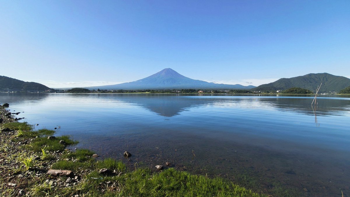 corianderrrr's tweet photo. 大瑠璃、ずっと一貫してニコニコ穏やか光属性RPしてたんですけど心の中祭りかなってくらい騒がしかったと思うのでそのうちふせに書きなぐりたい https://t.co/au39WJ2PJO