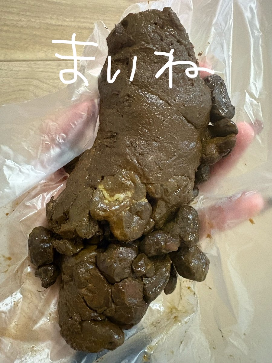 GFrier69717's tweet photo. 【9/24🍁まいねの腸活日記】R18

相変わらずの極太🐉
今日も私は元気です💪

🎥🐜ます
💩済み https://t.co/gF5DaISw3q