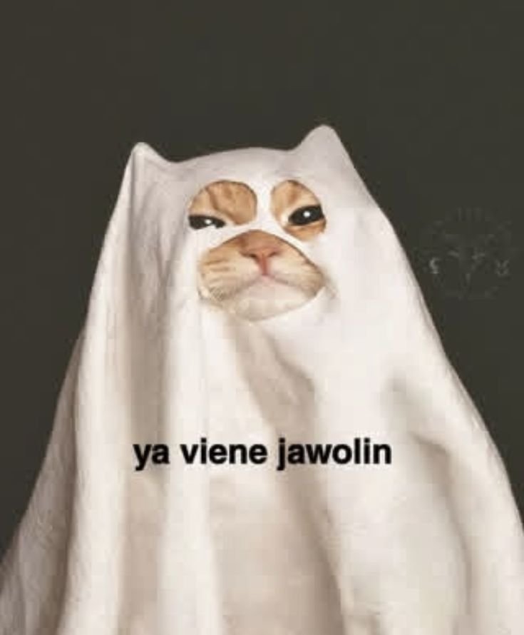 Edgar_Chiwas tweet picture