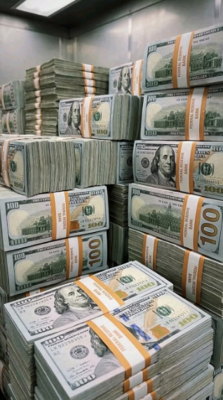 Dianajael7's tweet photo. 💵 如果有人给你1000万美元，你会放弃什么来赚到它？ https://t.co/ikpSn2pF6S
