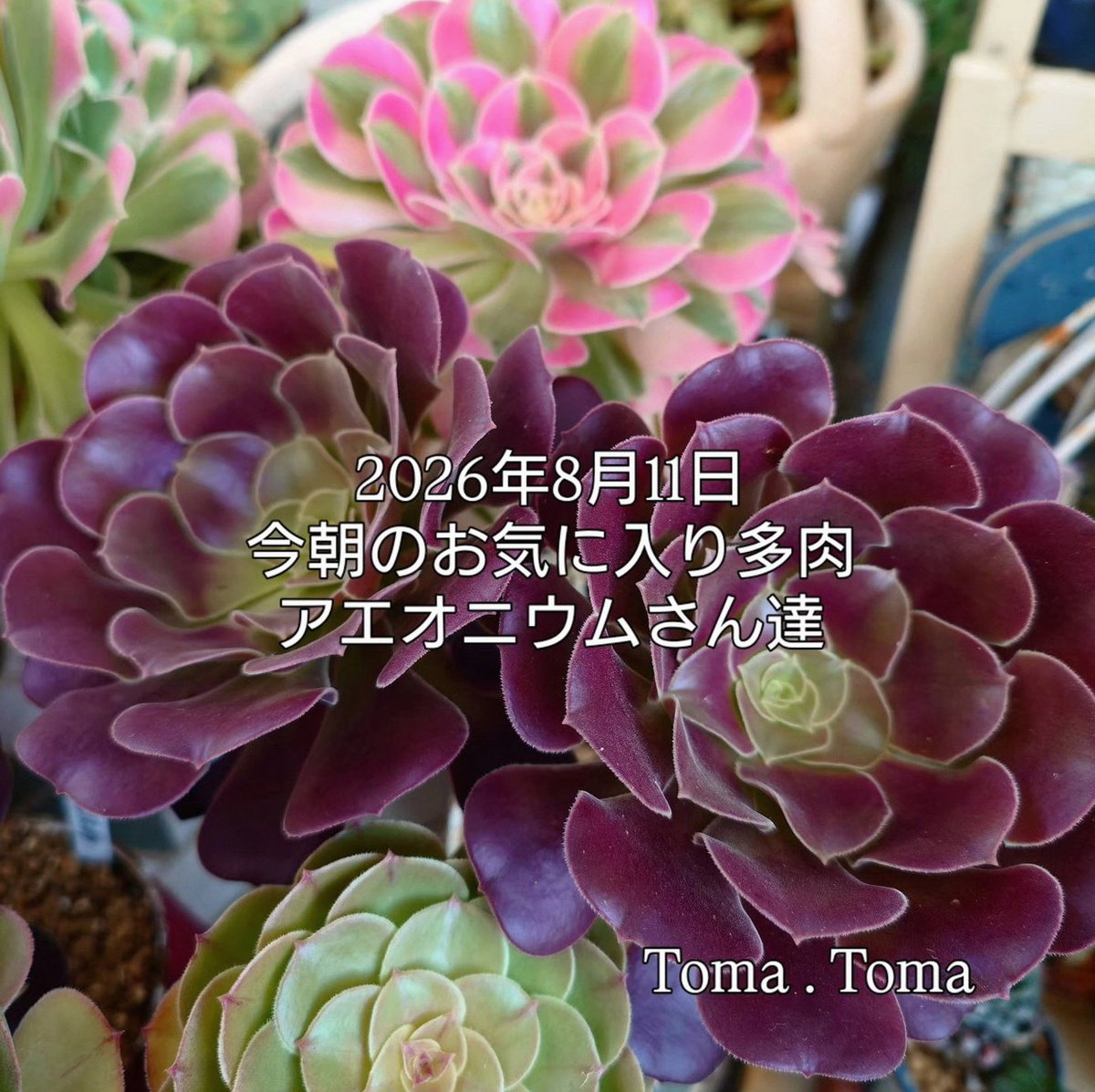 ay11___09's tweet photo. 周り顔整ってる奴しか居なくてキレそう。俺は？俺ブスなんだけど😓😓😓 https://t.co/yYdfhdACnl