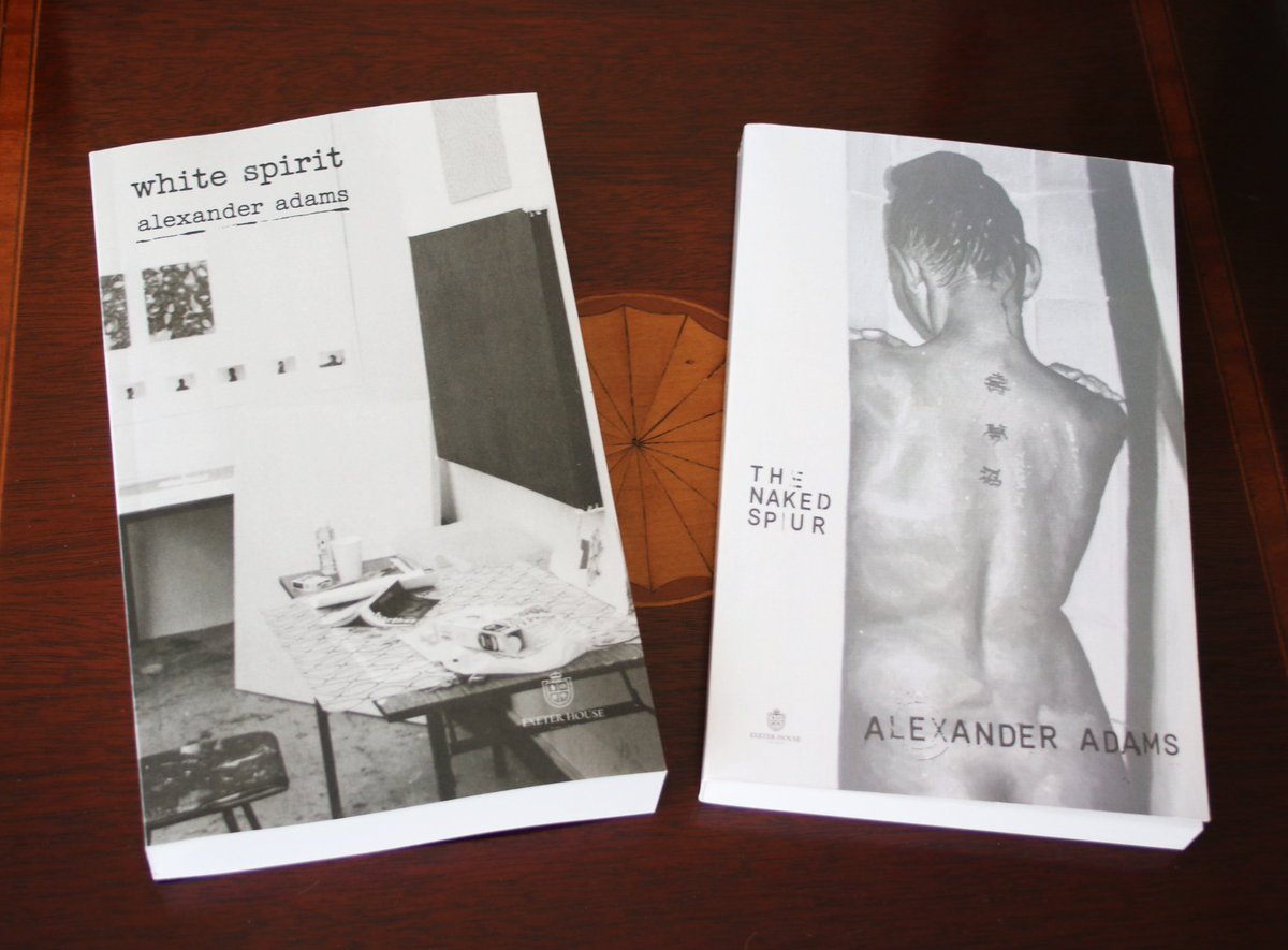 AdamsArtist's tweet photo. If you wonder about today's art, consider these two novels. Written from the inside, they show how students are encouraged to pursue bizarre experiments to please tutors and chase critical acclaim. They explore how personal weaknesses drive artists into the arms of the art world. If you want to understand the state of art, I recommend this pair of novels.