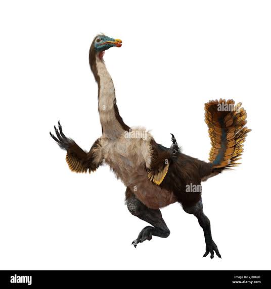 MindchildHA's tweet photo. @capitandinorexy birthing new dinosaur funny in 3... 2... 1... https://t.co/0tpPw9uHL6