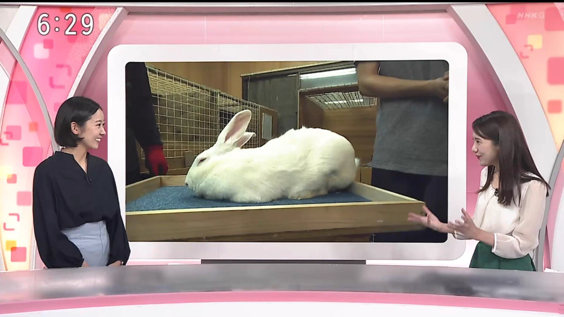 寂ちゃん@102.4kg BMI33.82 on X: 