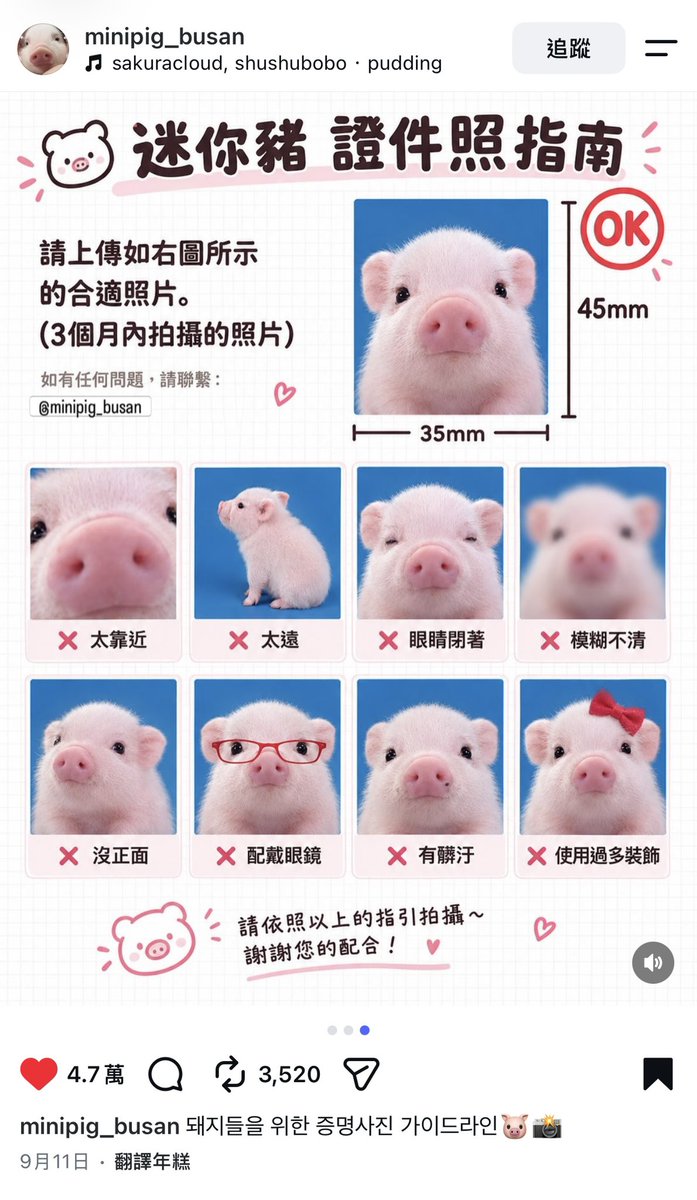 Ayao0511's tweet photo. 放另一個版本好了
#IdentiyV https://t.co/Dzy8lgtMBC