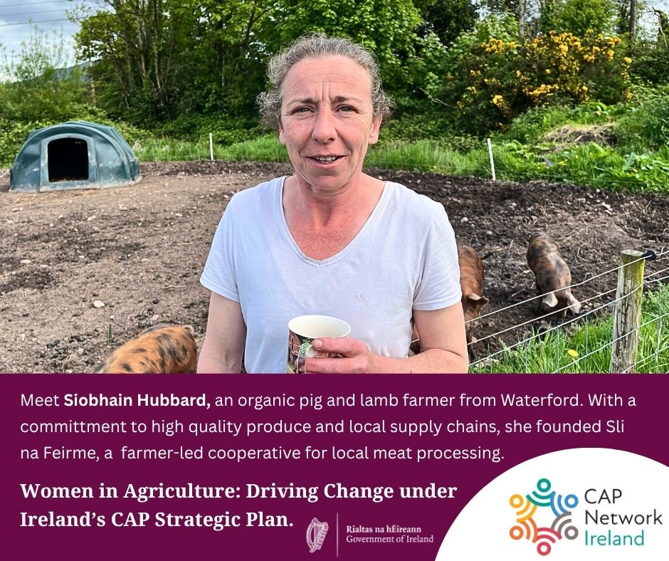 capnetworkire's tweet photo. Meet Siobhain Hubbard from Co. Waterford, who co-manages an organic pig and lamb farm enterprise. Newbard Farm is committed to high standards and sustainable stewardship, emphasising quality produce for the domestic and local market rather than seeking scale for the international export system. Having found it increasingly difficult to sell local meat products to a domestic market within the existing meat processing system, Siobhain decided that change was needed and has worked tirelessly towards the creation of Slí na Feirme, a cooperative of small-scale farmers looking to build small-scale animal processing infrastructure. Thanks to Siobhan’s leadership, the initiative has attracted 160 farmers from across the country and 60 farmers in the southeast with skills, knowledge and capacity to service a domestic facility.

Read more about Siobhain’s story at: https://t.co/SGCSDmMBM3

#capnetworkireland #womeninagriculture #agricultureireland
@ERINNinnovation @MTU_ie @irishrurallink @agriculture_ie @eucapnetwork