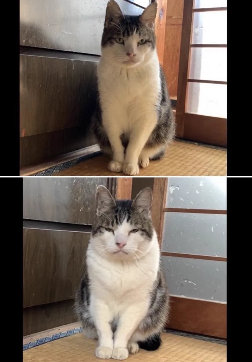 まっちゃん on X: 